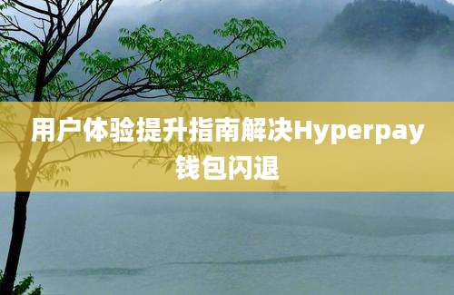 用户体验提升指南解决Hyperpay钱包闪退