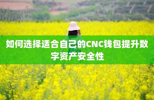 如何选择适合自己的CNC钱包提升数字资产安全性