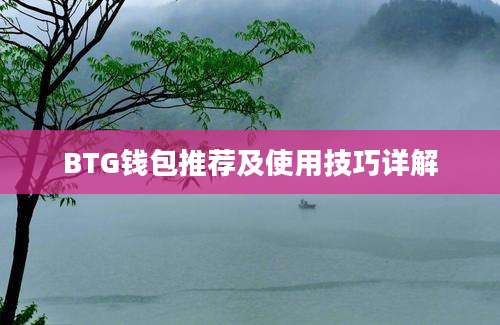 BTG钱包推荐及使用技巧详解