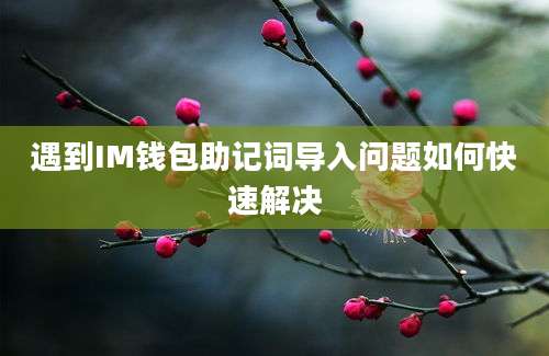 遇到IM钱包助记词导入问题如何快速解决