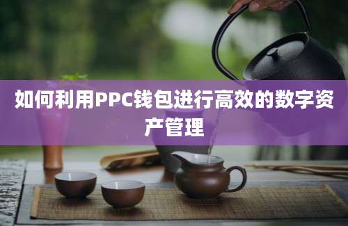 如何利用PPC钱包进行高效的数字资产管理