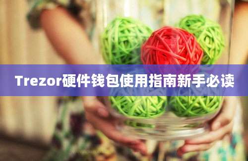 Trezor硬件钱包使用指南新手必读