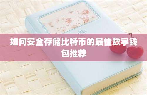 如何安全存储比特币的最佳数字钱包推荐