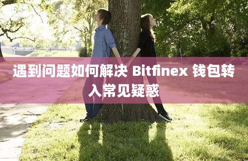 遇到问题如何解决 Bitfinex 钱包转入常见疑惑