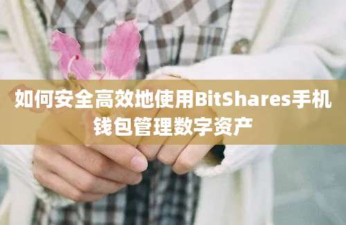 如何安全高效地使用BitShares手机钱包管理数字资产