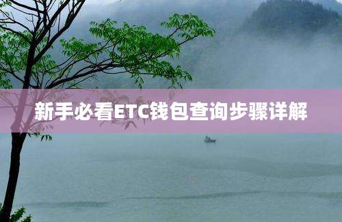 新手必看ETC钱包查询步骤详解