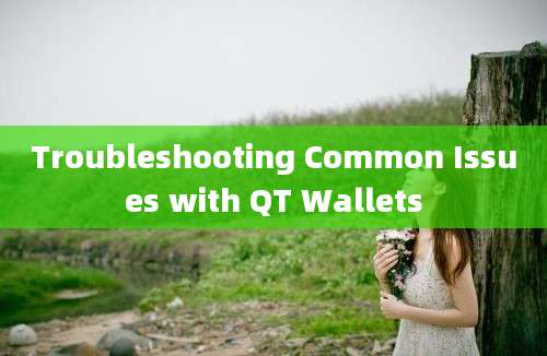 Troubleshooting Common Issues with QT Wallets