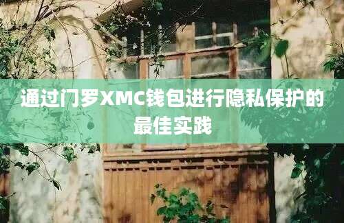 通过门罗XMC钱包进行隐私保护的最佳实践