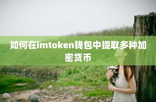 如何在imtoken钱包中提取多种加密货币