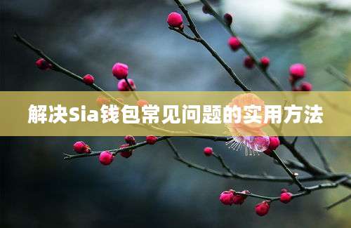 解决Sia钱包常见问题的实用方法