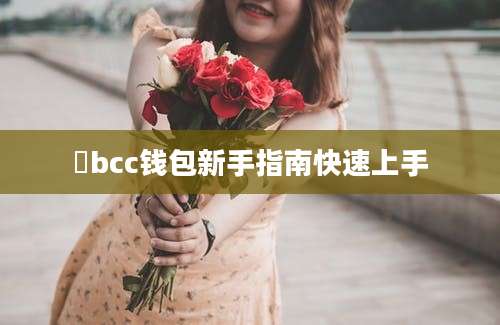 乥bcc钱包新手指南快速上手