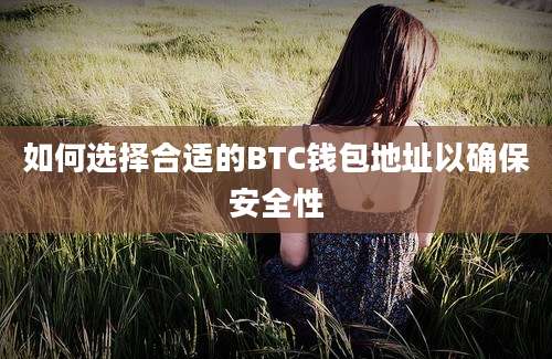 如何选择合适的BTC钱包地址以确保安全性