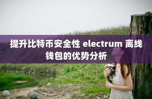 提升比特币安全性 electrum 离线钱包的优势分析