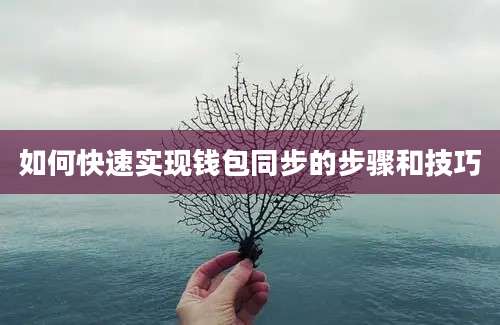 如何快速实现钱包同步的步骤和技巧