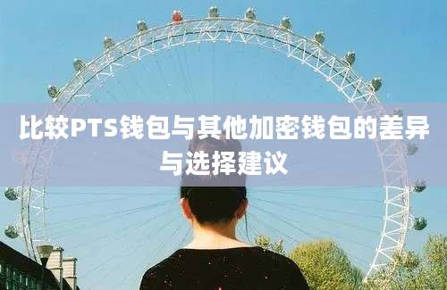 比较PTS钱包与其他加密钱包的差异与选择建议