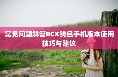 常见问题解答BCX钱包手机版本使用技巧与建议