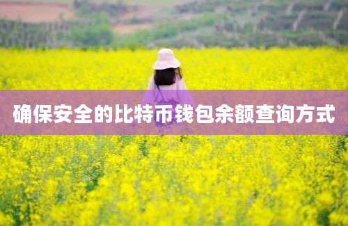 确保安全的比特币钱包余额查询方式