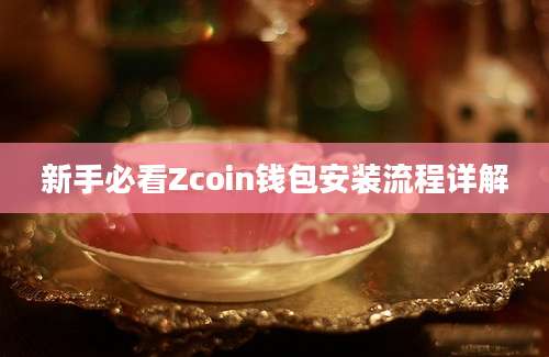 新手必看Zcoin钱包安装流程详解