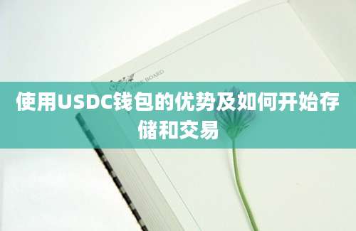 使用USDC钱包的优势及如何开始存储和交易