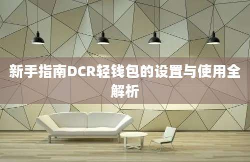 新手指南DCR轻钱包的设置与使用全解析