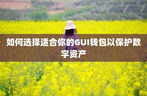 如何选择适合你的GUI钱包以保护数字资产