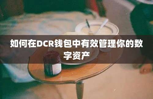 如何在DCR钱包中有效管理你的数字资产