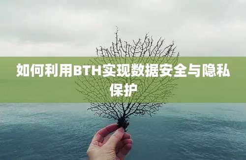 如何利用BTH实现数据安全与隐私保护