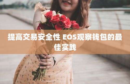 提高交易安全性 EOS观察钱包的最佳实践