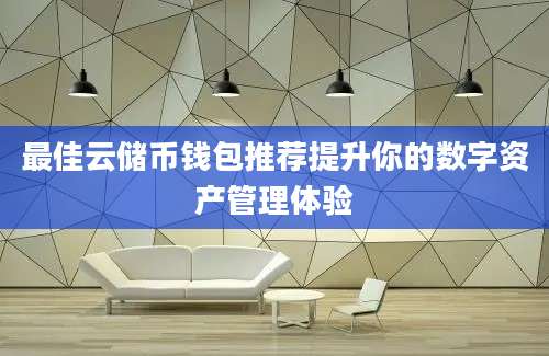 最佳云储币钱包推荐提升你的数字资产管理体验